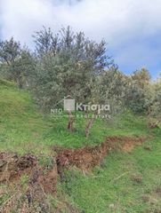 Αγροτεμάχια 3.118 τ.μ. για πώληση