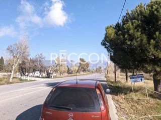 Οικόπεδο 390 τ.μ. για πώληση, Εύβοια, Ερέτρια-thumb-4