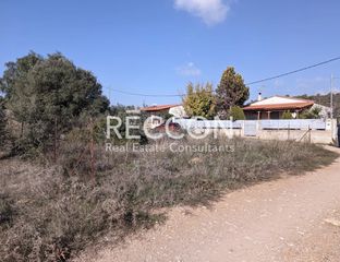 Οικόπεδο 390 τ.μ. για πώληση, Εύβοια, Ερέτρια-thumb-5
