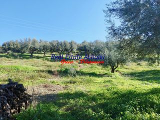 Αγροτεμάχια 12.246 τ.μ. για πώληση, Αχαΐα, Αιγιάλεια-thumb-2