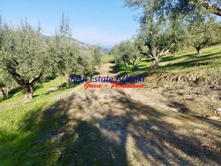 Αγροτεμάχια 12.246 τ.μ. για πώληση, Αχαΐα, Αιγιάλεια-thumb-3