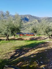 Αγροτεμάχια 12.246 τ.μ. για πώληση, Αχαΐα, Αιγιάλεια-thumb-9
