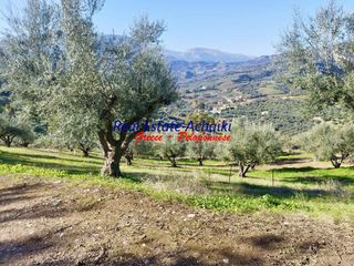 Αγροτεμάχια 12.246 τ.μ. για πώληση, Αχαΐα, Αιγιάλεια-thumb-8