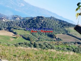 Αγροτεμάχια 12.246 τ.μ. για πώληση