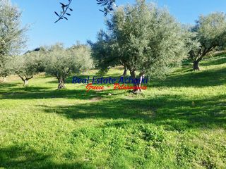 Αγροτεμάχια 12.246 τ.μ. για πώληση, Αχαΐα, Αιγιάλεια-thumb-11
