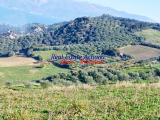 Αγροτεμάχια 12.246 τ.μ. για πώληση, Αχαΐα, Αιγιάλεια-thumb-10
