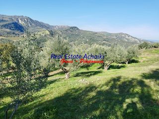 Αγροτεμάχια 12.246 τ.μ. για πώληση, Αχαΐα, Αιγιάλεια-thumb-5