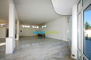 Κατάστημα 248,50 τ.μ. προς ενοικίαση, Κουτσοπόδι-thumb-8