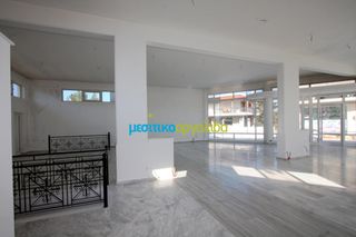 Κατάστημα 258 τ.μ. για πώληση, Αργολίδα, Κουτσοπόδι-thumb-15