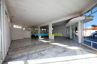 Κατάστημα 258 τ.μ. για πώληση, Αργολίδα, Κουτσοπόδι-thumb-16