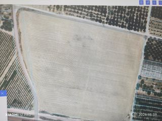 Αγροτεμάχια 30.000 τ.μ. για πώληση