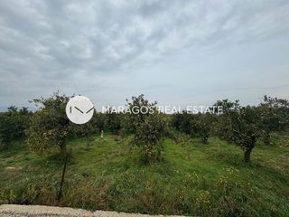 Αγροτεμάχια 7.500 τ.μ. για πώληση, Αργολίδα, Νέα Κίος-thumb-2