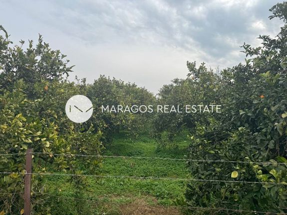 Αγροτεμάχια 7.500 τ.μ. για πώληση, Αργολίδα, Νέα Κίος