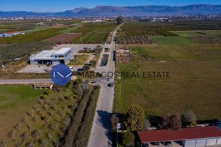 Αγροτεμάχια 19.000 τ.μ. για πώληση, Αργολίδα, Ναύπλιο-thumb-5