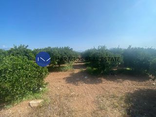 Αγροτεμάχια 8.000 τ.μ. για πώληση
