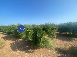 Αγροτεμάχια 8.000 τ.μ. προς πώληση, Άκοβα-thumb-2