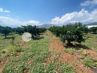 Αγροτεμάχια 10.000 τ.μ. για πώληση, Αργολίδα, Μιδέα-thumb-4