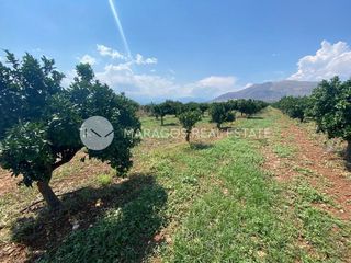 Αγροτεμάχια 10.000 τ.μ. για πώληση, Αργολίδα, Μιδέα-thumb-2