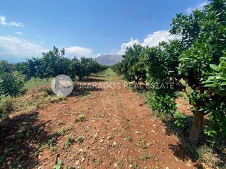 Αγροτεμάχια 10.000 τ.μ. για πώληση, Αργολίδα, Μιδέα-thumb-7