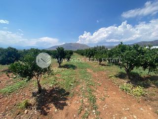 Αγροτεμάχια 10.000 τ.μ. για πώληση, Αργολίδα, Μιδέα-thumb-1