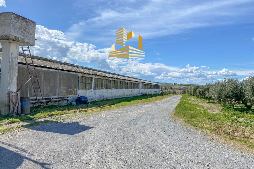 Οικόπεδο 143.000 τ.μ. προς πώληση, Τανάγρα