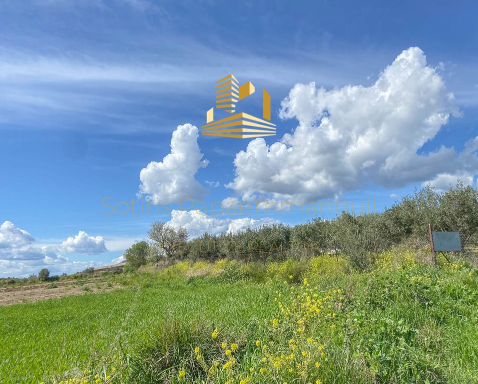 Οικόπεδο 143.000 τ.μ. προς πώληση, Τανάγρα