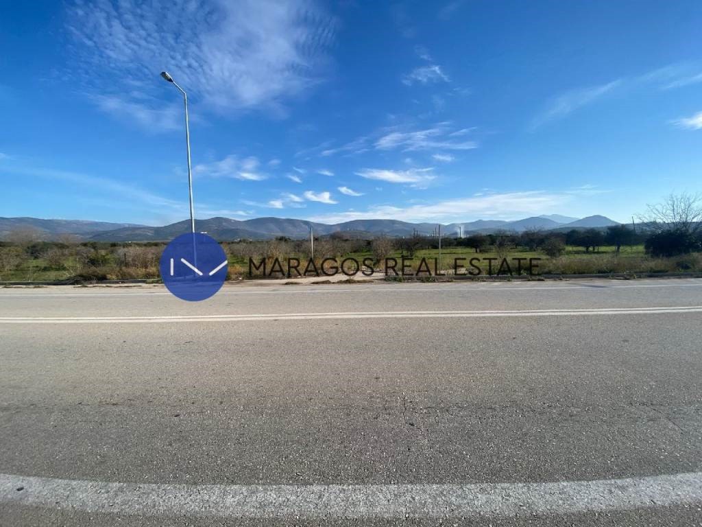 Αγροτεμάχια 11.300 τ.μ. προς πώληση, Πουλλακίδα