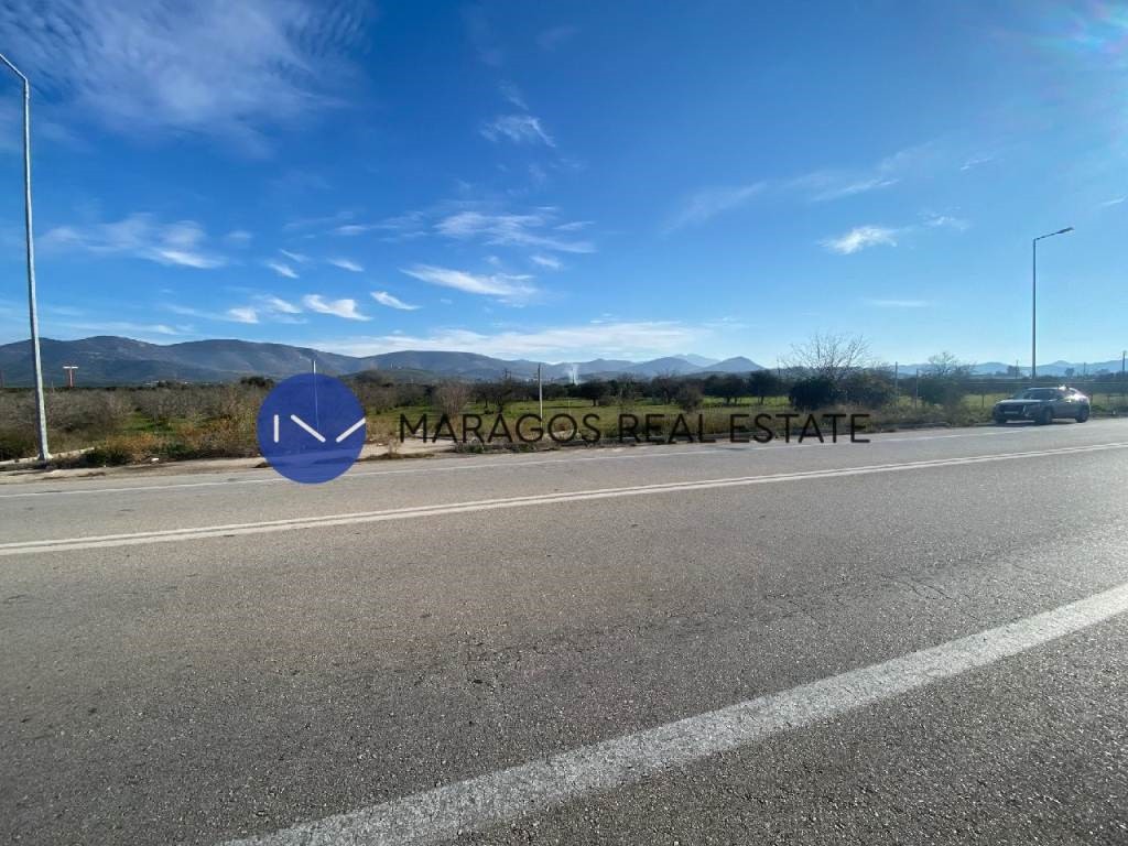 Αγροτεμάχια 11.300 τ.μ. προς πώληση, Πουλλακίδα