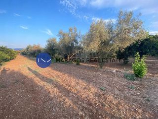 Οικόπεδο 600 τ.μ. προς πώληση, Ίναχος Άργους-thumb-5