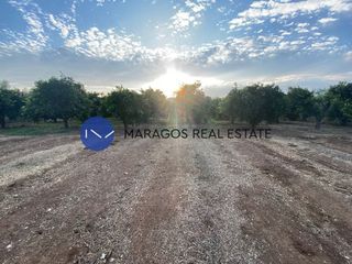 Οικόπεδο 600 τ.μ. προς πώληση, Ίναχος Άργους-thumb-1