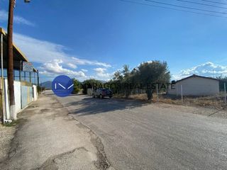 Μονοκατοικία 65 τ.μ. για πώληση, Αργολίδα, Άργος-thumb-14
