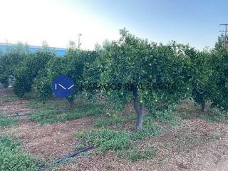 Αγροτεμάχια 12.000 τ.μ. προς πώληση, Κέντρο Άργους-thumb-3