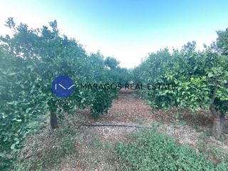 Αγροτεμάχια 12.000 τ.μ. προς πώληση, Κέντρο Άργους-thumb-12