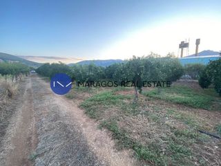 Αγροτεμάχια 12.000 τ.μ. προς πώληση, Κέντρο Άργους-thumb-11