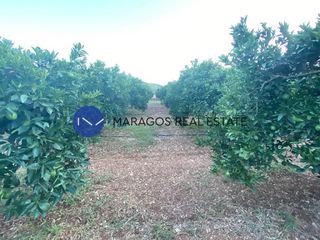 Αγροτεμάχια 12.000 τ.μ. προς πώληση, Κέντρο Άργους-thumb-13