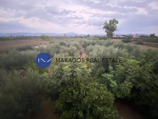 Μονοκατοικία 192 τ.μ. για πώληση, Αργολίδα, Άργος-thumb-10