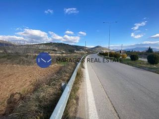 Αγροτεμάχια 3.000 τ.μ. για πώληση, Αργολίδα, Άργος-thumb-5