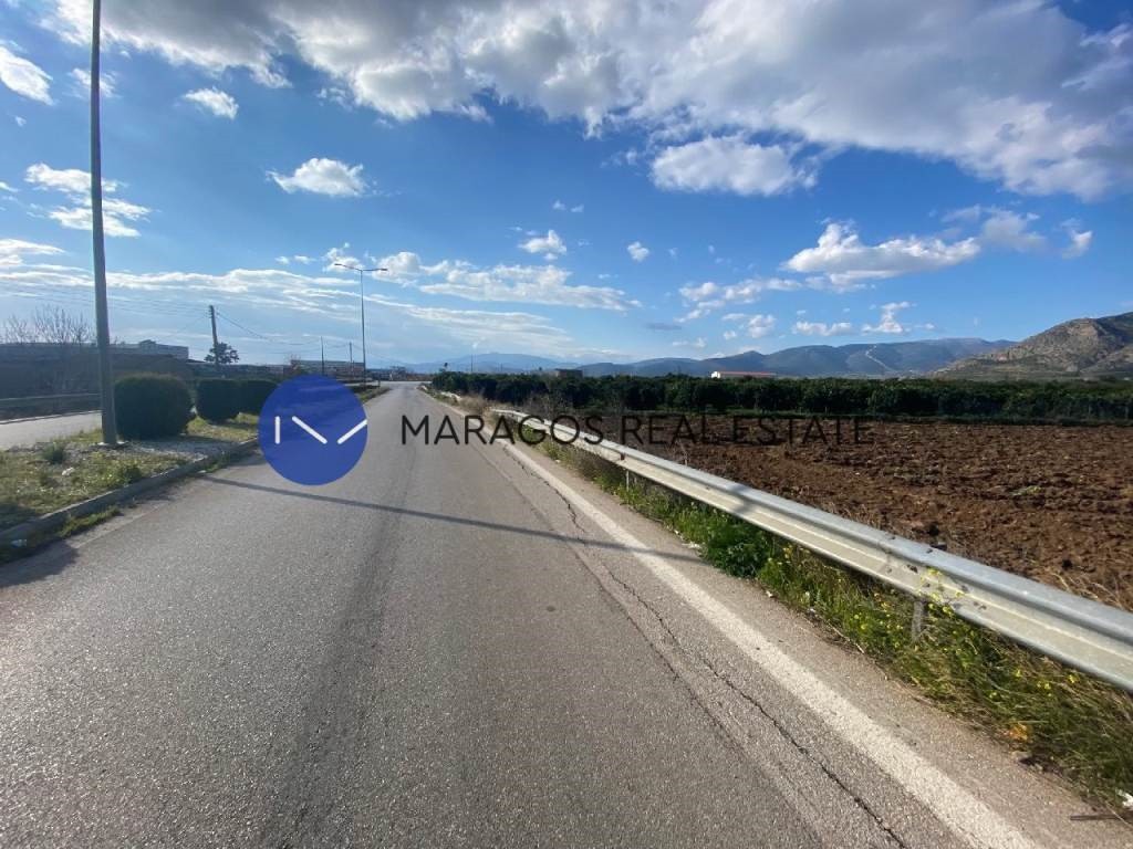 Αγροτεμάχια 3.000 τ.μ. για πώληση, Αργολίδα, Άργος