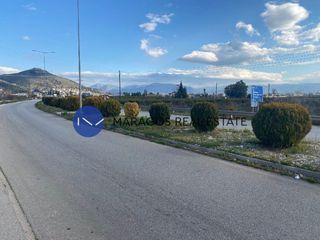 Αγροτεμάχια 3.000 τ.μ. για πώληση, Αργολίδα, Άργος-thumb-7