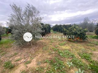 Αγροτεμάχια 4.500 τ.μ. για πώληση, Αργολίδα, Άργος-thumb-9