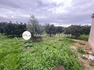 Αγροτεμάχια 4.500 τ.μ. για πώληση, Αργολίδα, Άργος-thumb-16