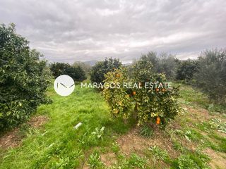 Αγροτεμάχια 4.500 τ.μ. για πώληση, Αργολίδα, Άργος-thumb-2