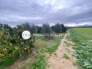 Αγροτεμάχια 4.500 τ.μ. για πώληση, Αργολίδα, Άργος-thumb-3