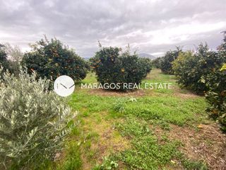 Αγροτεμάχια 4.500 τ.μ. για πώληση, Αργολίδα, Άργος-thumb-5