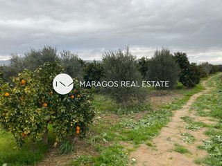 Αγροτεμάχια 4.500 τ.μ. για πώληση, Αργολίδα, Άργος-thumb-13