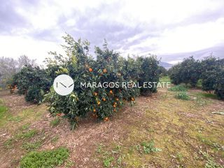 Αγροτεμάχια 4.500 τ.μ. για πώληση, Αργολίδα, Άργος-thumb-10