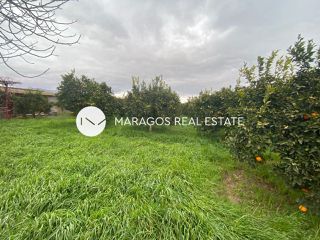 Αγροτεμάχια 4.500 τ.μ. για πώληση