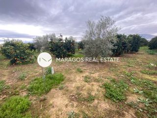Αγροτεμάχια 4.500 τ.μ. για πώληση, Αργολίδα, Άργος-thumb-8