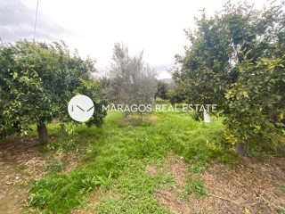 Αγροτεμάχια 4.500 τ.μ. για πώληση, Αργολίδα, Άργος-thumb-1