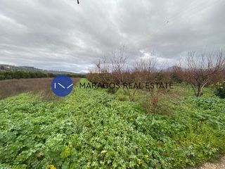 Αγροτεμάχια 11.000 τ.μ. προς πώληση, Κουτσοπόδι-thumb-6